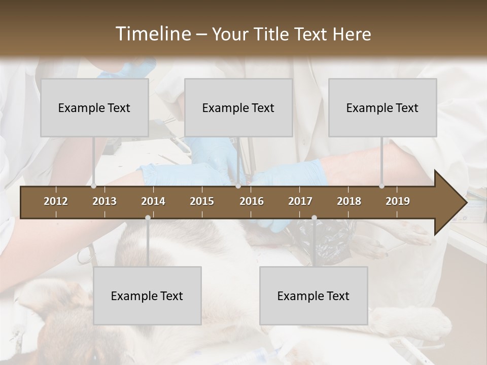 Veterinary Surgery Sterile PowerPoint Template