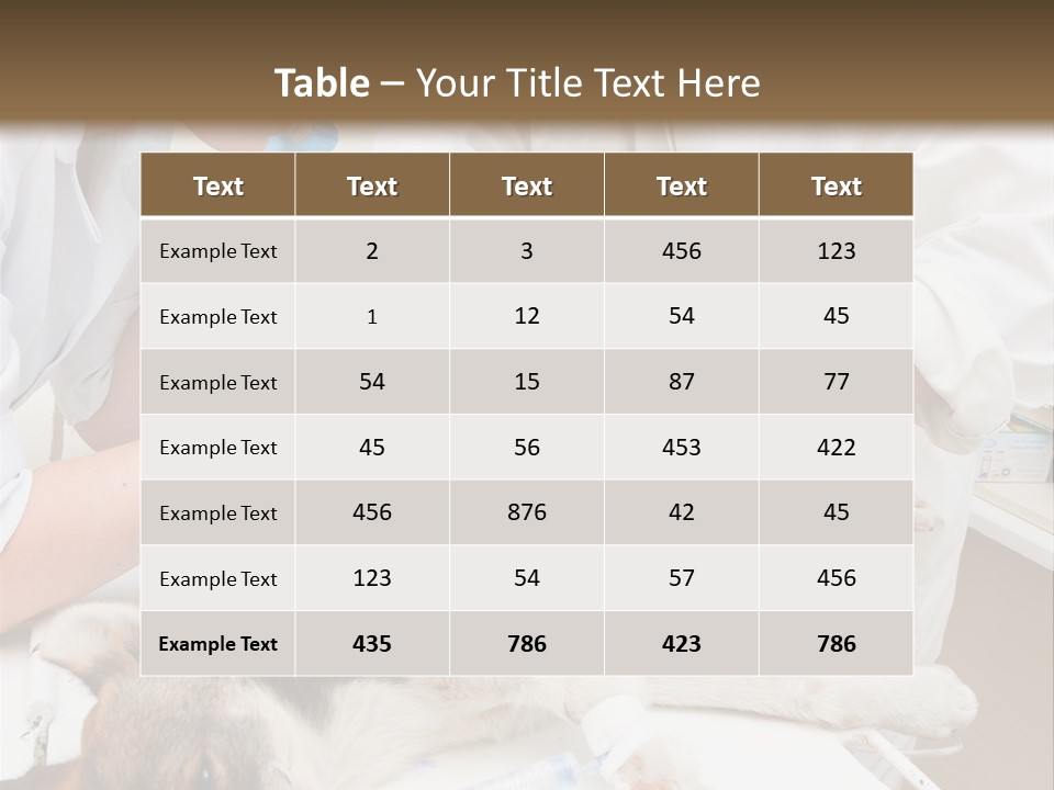 Veterinary Surgery Sterile PowerPoint Template