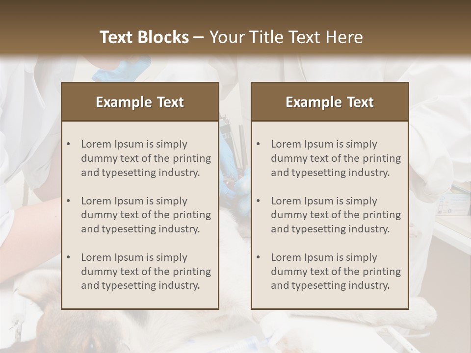 Veterinary Surgery Sterile PowerPoint Template
