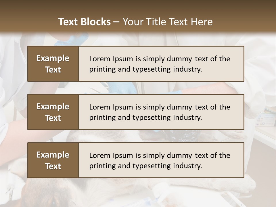 Veterinary Surgery Sterile PowerPoint Template