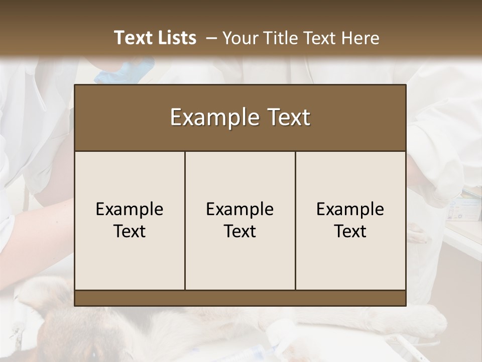 Veterinary Surgery Sterile PowerPoint Template
