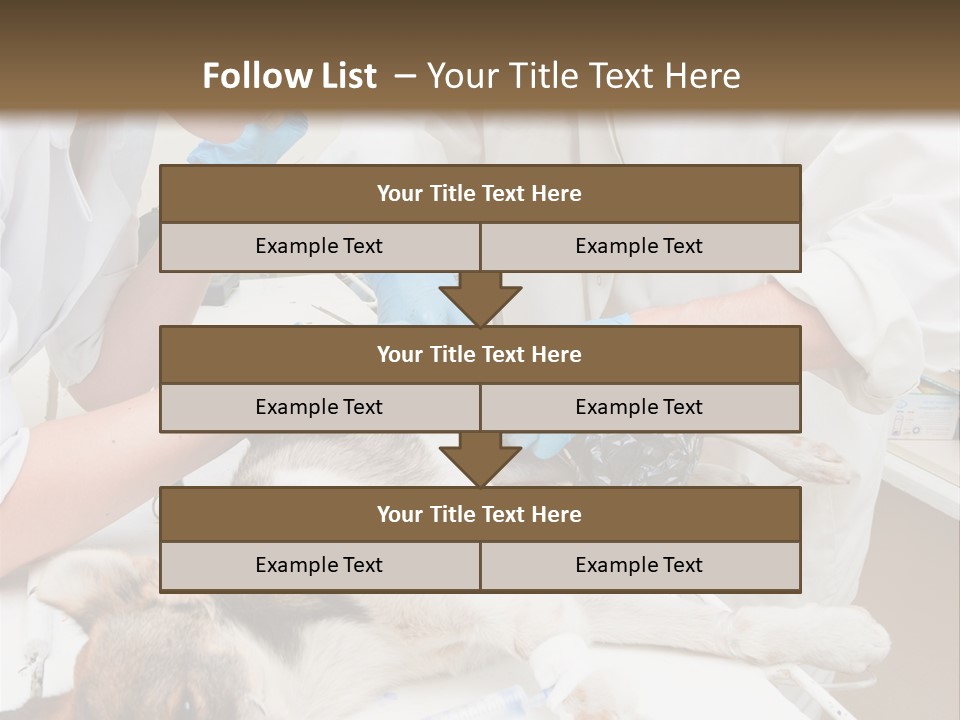 Veterinary Surgery Sterile PowerPoint Template