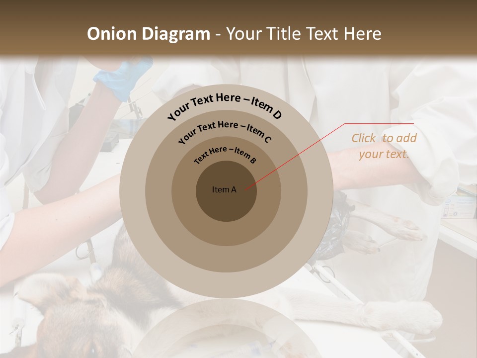Veterinary Surgery Sterile PowerPoint Template