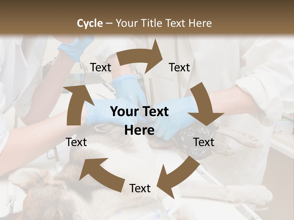 Veterinary Surgery Sterile PowerPoint Template