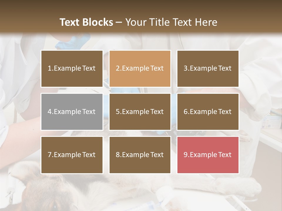 Veterinary Surgery Sterile PowerPoint Template