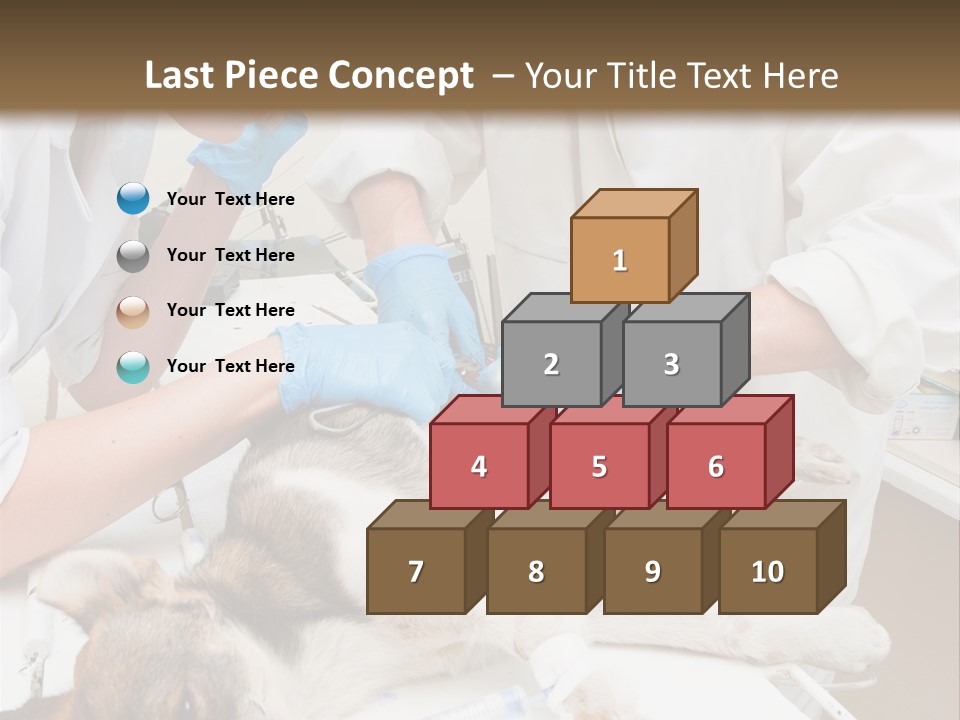 Veterinary Surgery Sterile PowerPoint Template