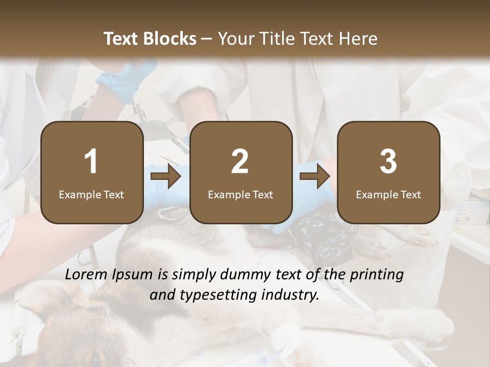 Veterinary Surgery Sterile PowerPoint Template