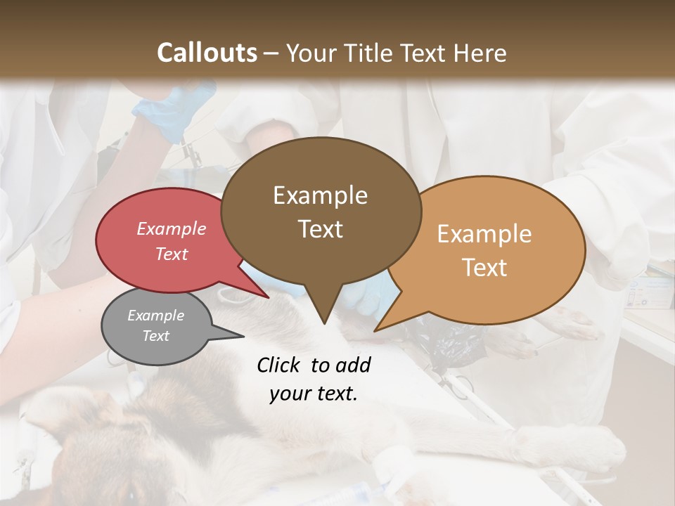 Veterinary Surgery Sterile PowerPoint Template