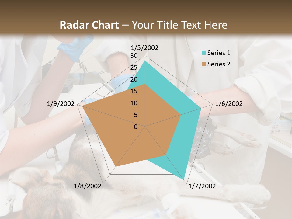 Veterinary Surgery Sterile PowerPoint Template
