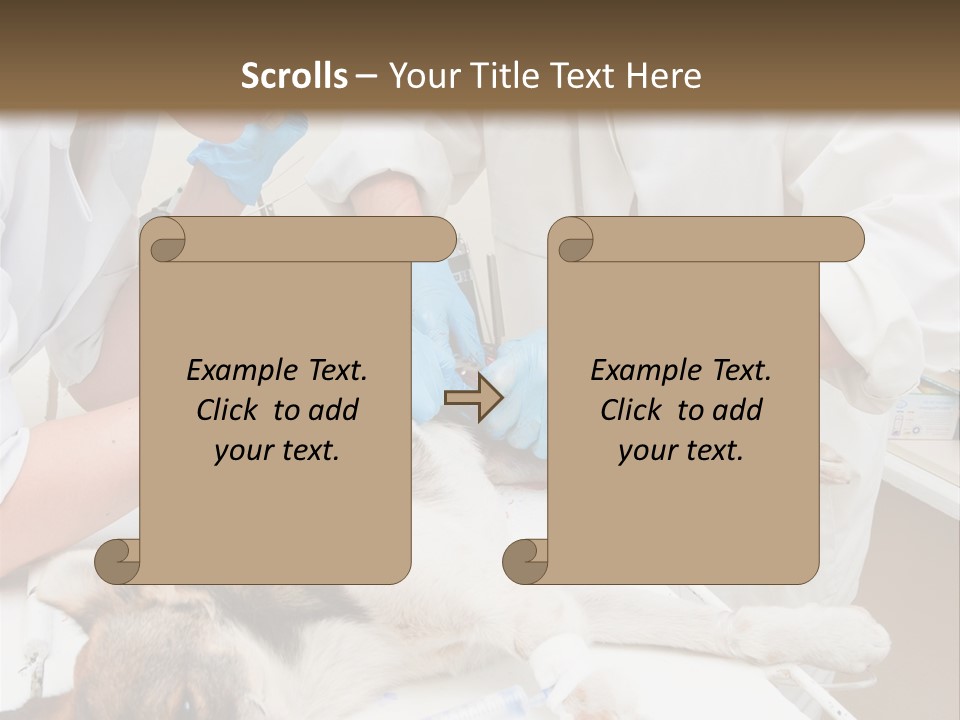 Veterinary Surgery Sterile PowerPoint Template