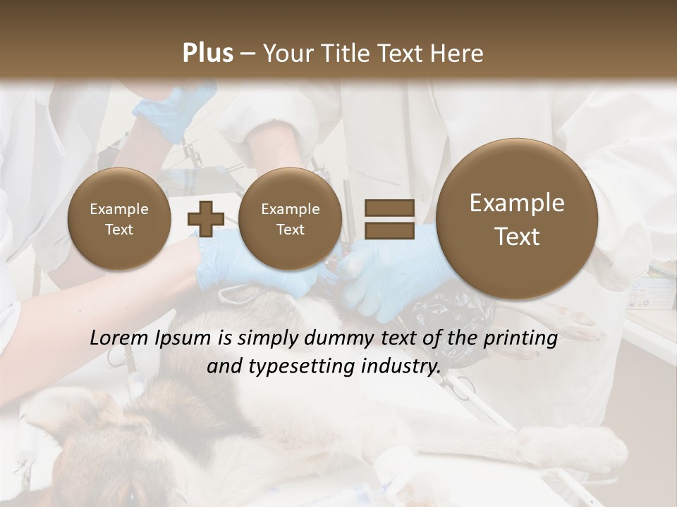 Veterinary Surgery Sterile PowerPoint Template