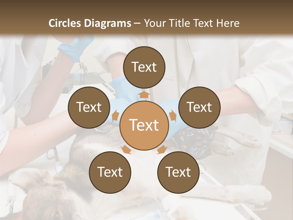 Veterinary Surgery Sterile PowerPoint Template