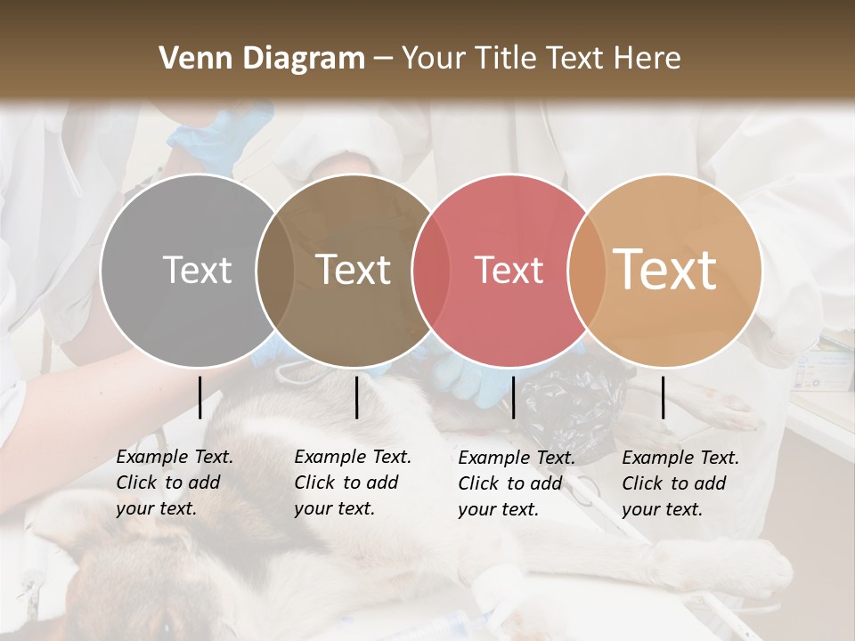Veterinary Surgery Sterile PowerPoint Template