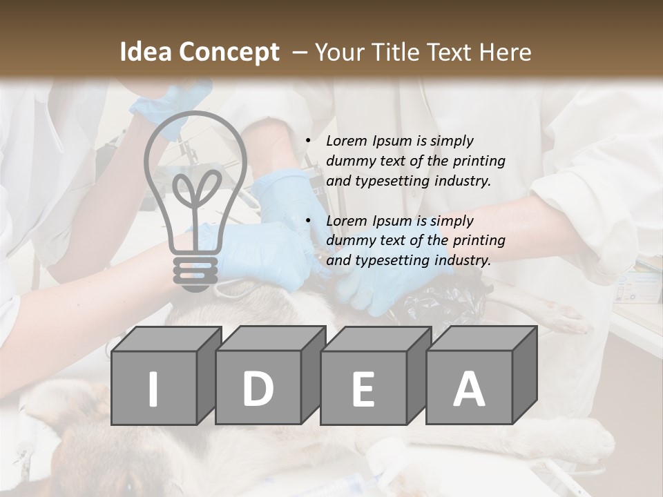 Veterinary Surgery Sterile PowerPoint Template