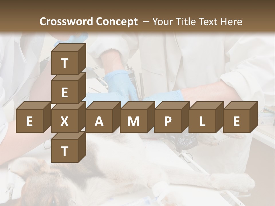 Veterinary Surgery Sterile PowerPoint Template