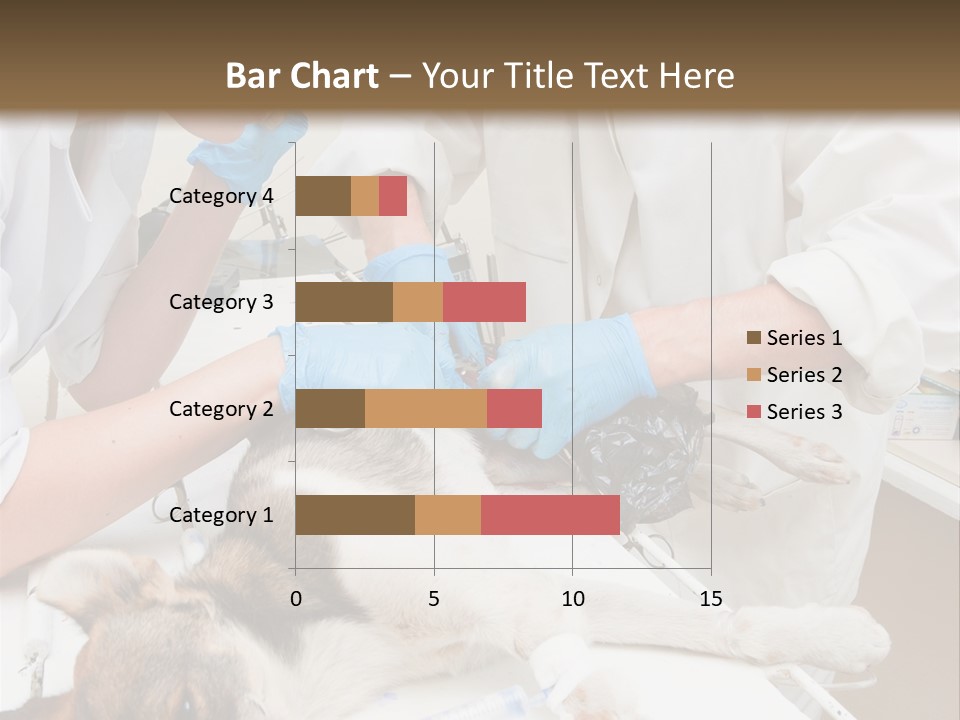 Veterinary Surgery Sterile PowerPoint Template