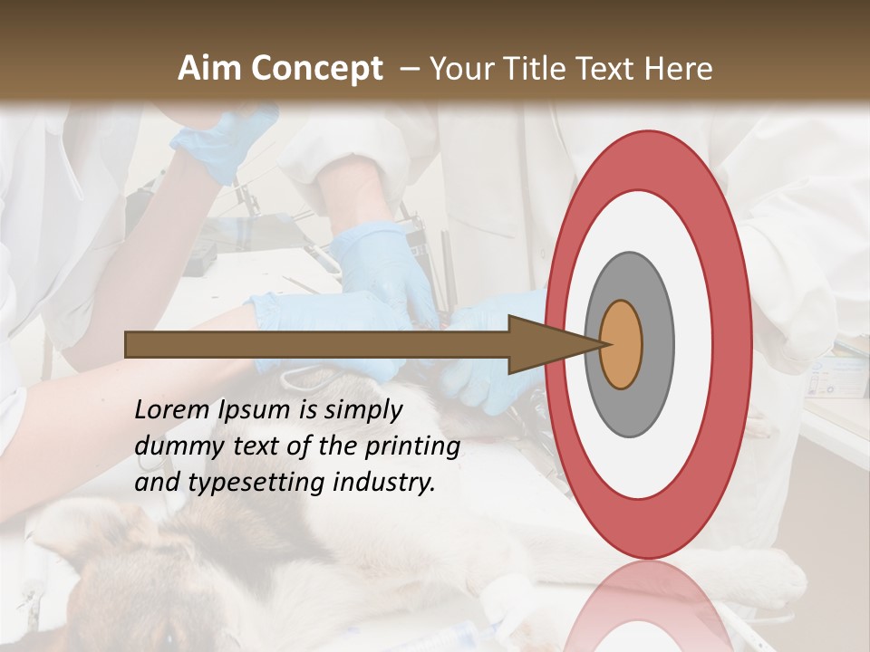 Veterinary Surgery Sterile PowerPoint Template
