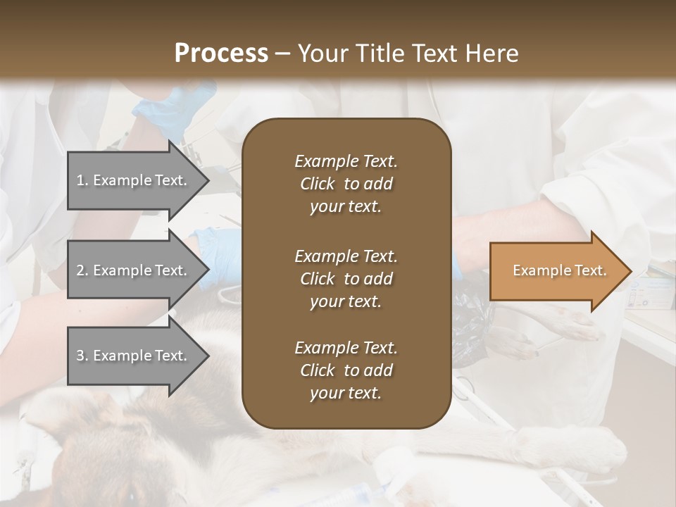 Veterinary Surgery Sterile PowerPoint Template