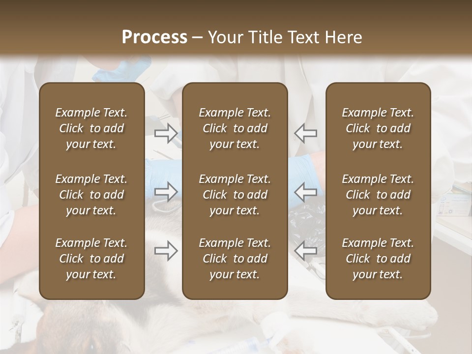 Veterinary Surgery Sterile PowerPoint Template