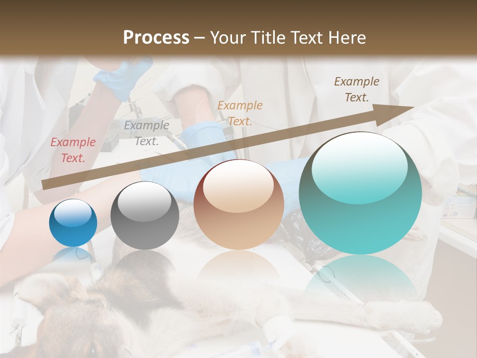 Veterinary Surgery Sterile PowerPoint Template