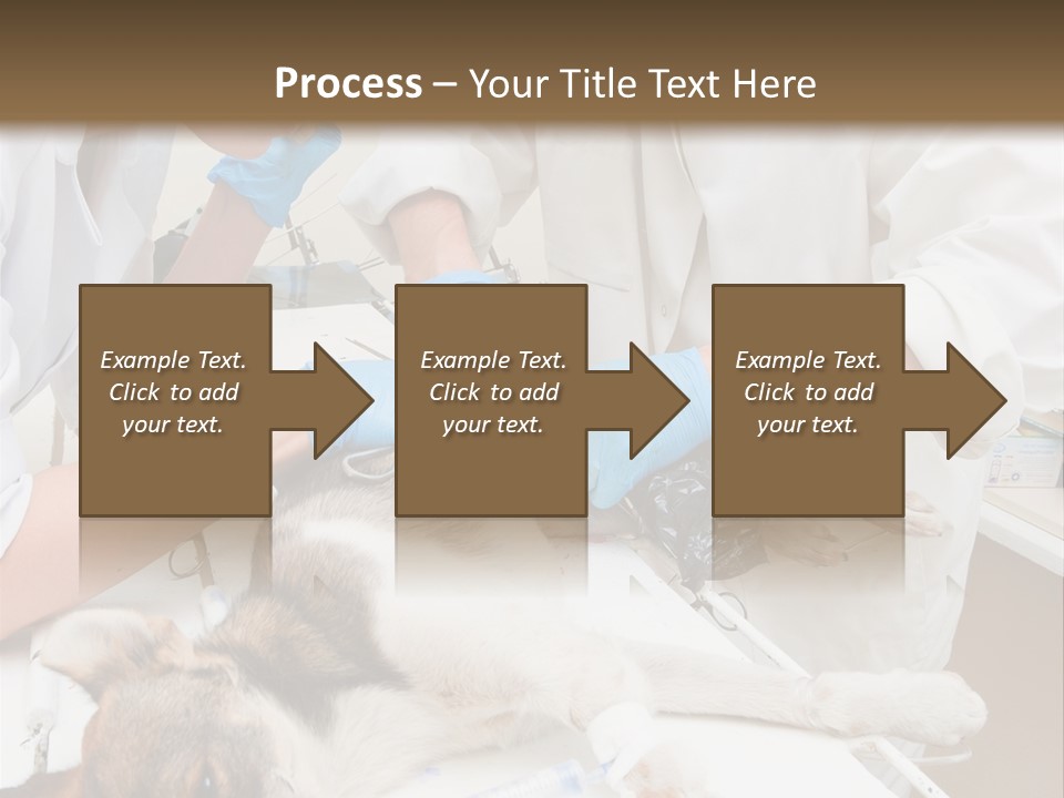 Veterinary Surgery Sterile PowerPoint Template