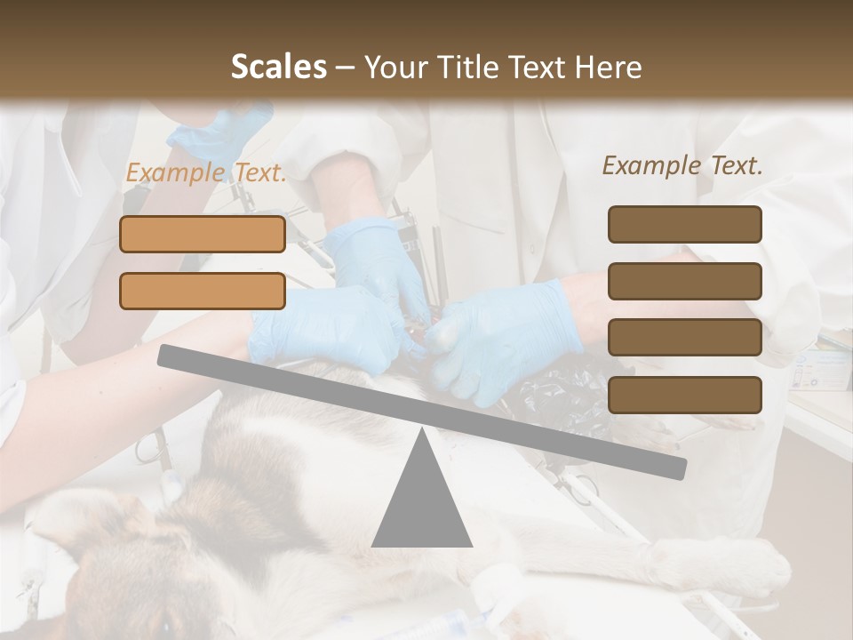 Veterinary Surgery Sterile PowerPoint Template