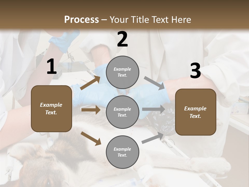 Veterinary Surgery Sterile PowerPoint Template
