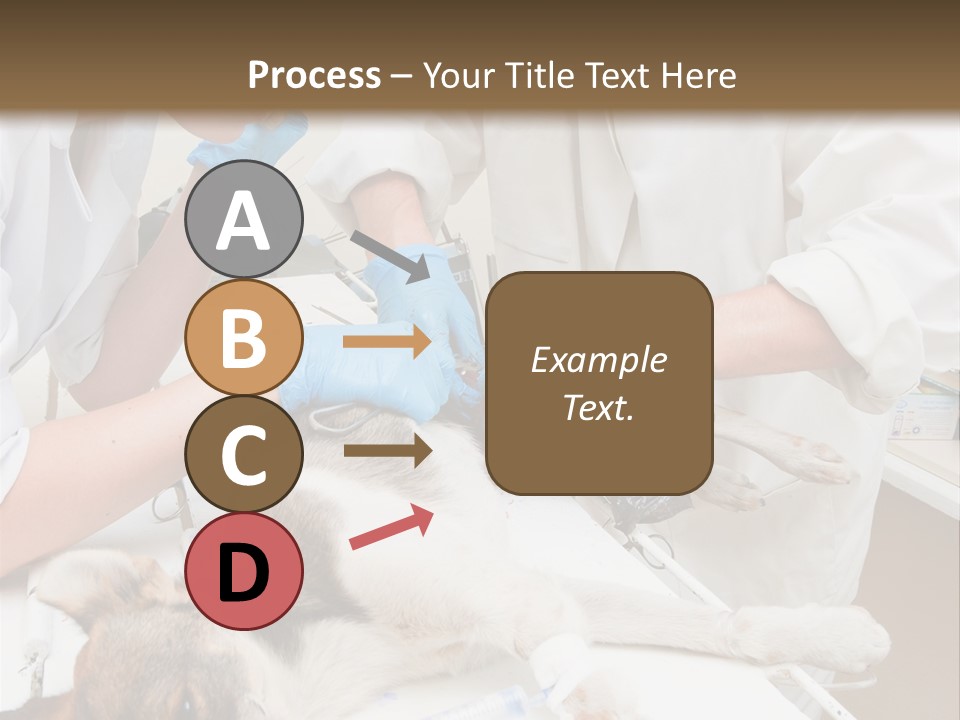 Veterinary Surgery Sterile PowerPoint Template