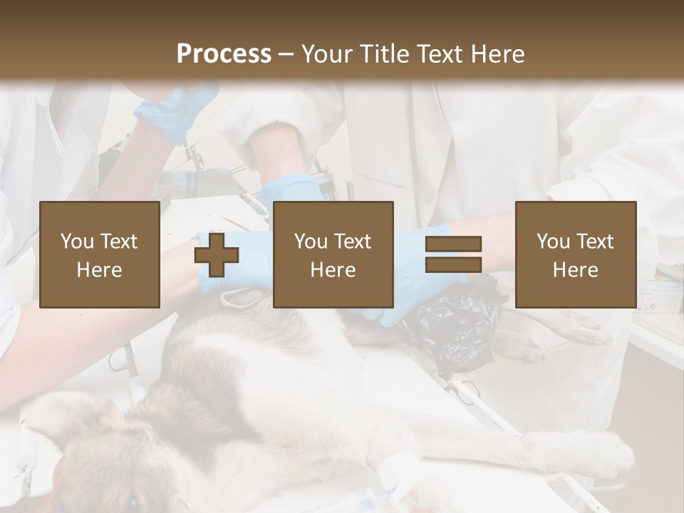 Veterinary Surgery Sterile PowerPoint Template