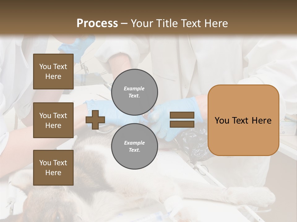 Veterinary Surgery Sterile PowerPoint Template