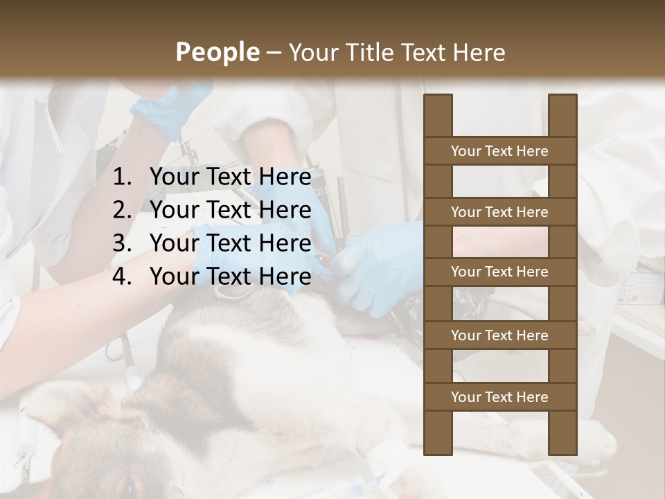 Veterinary Surgery Sterile PowerPoint Template