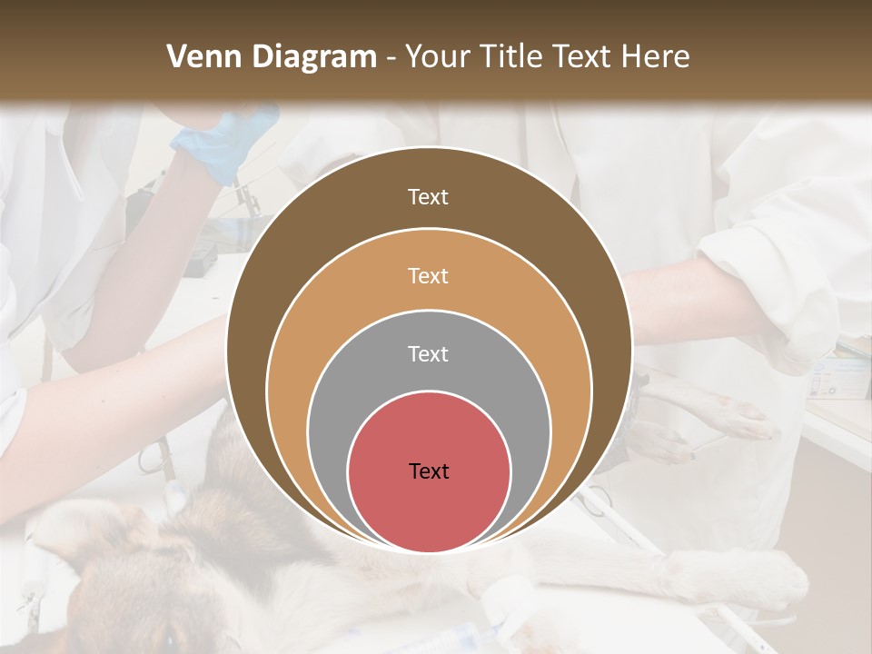 Veterinary Surgery Sterile PowerPoint Template