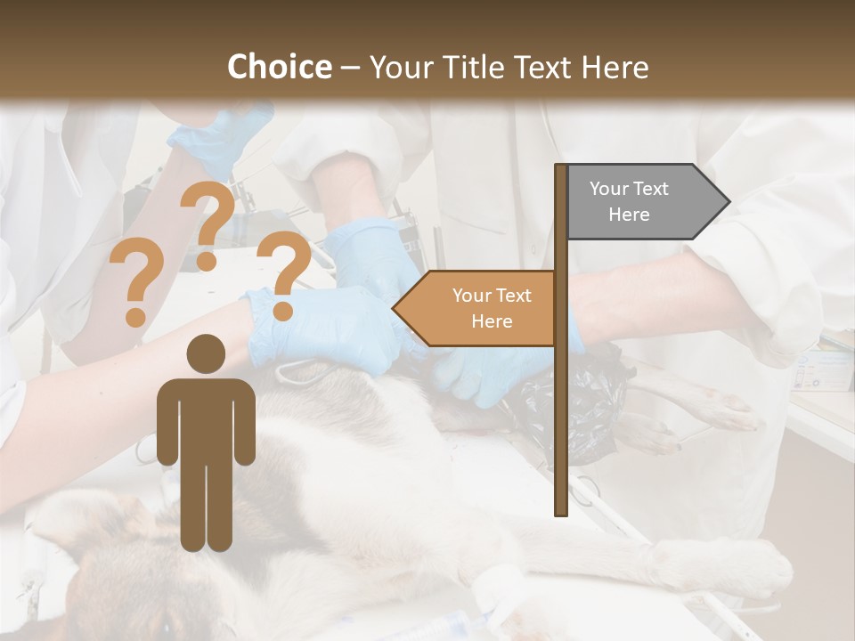 Veterinary Surgery Sterile PowerPoint Template