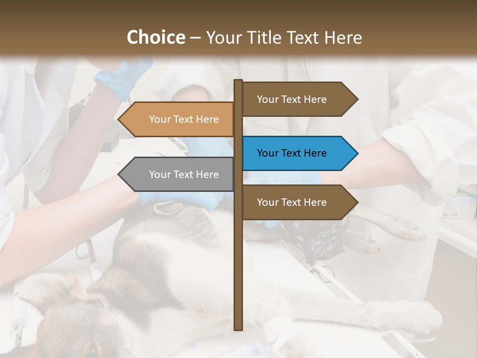 Veterinary Surgery Sterile PowerPoint Template