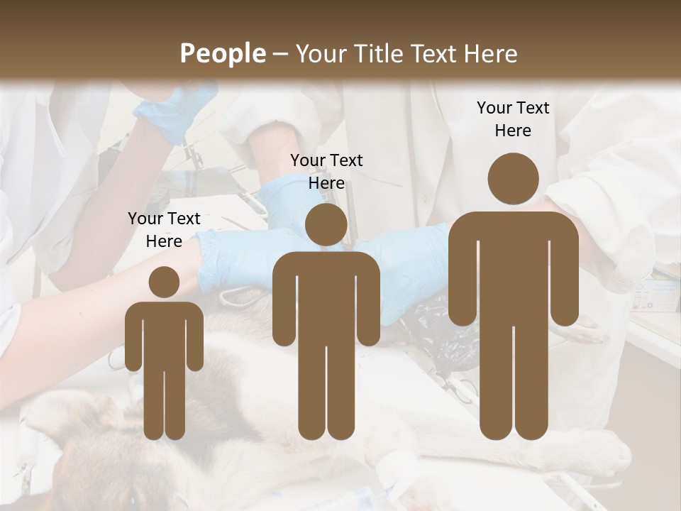 Veterinary Surgery Sterile PowerPoint Template