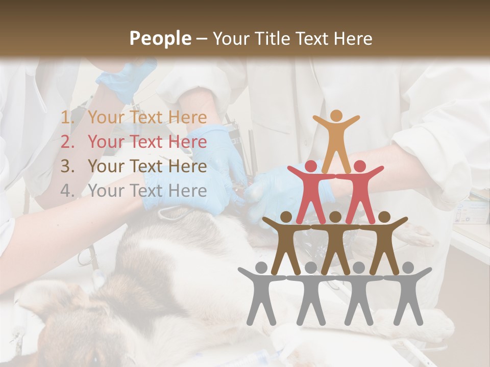Veterinary Surgery Sterile PowerPoint Template