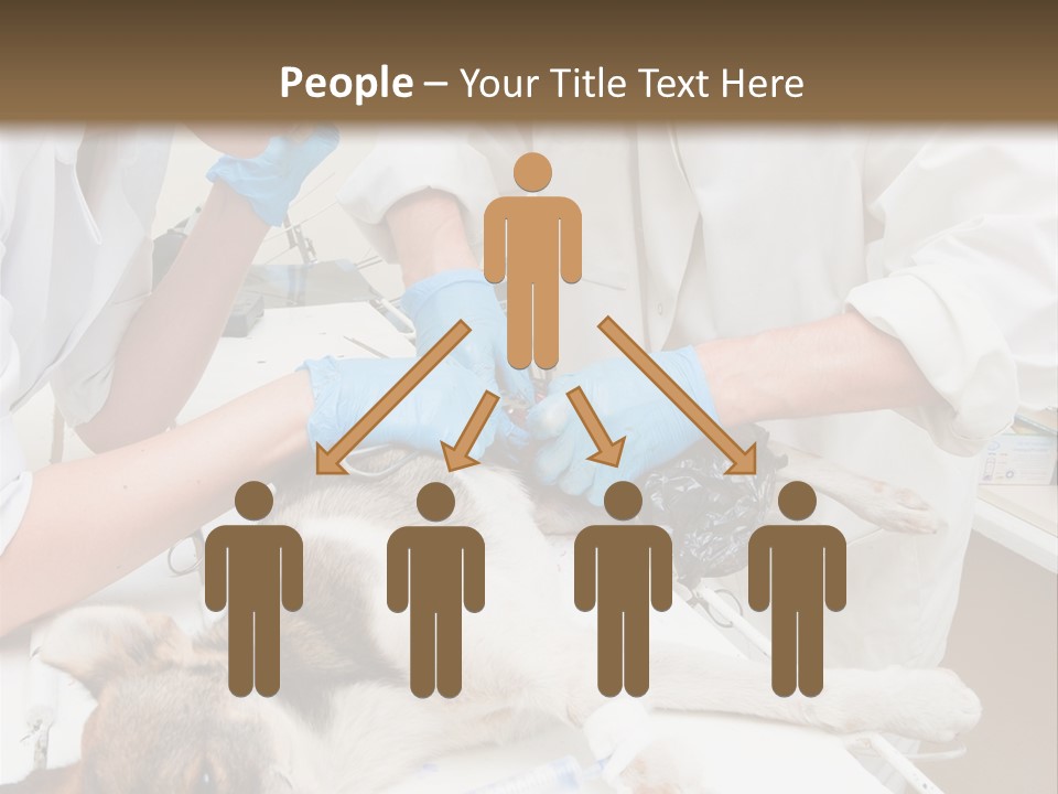 Veterinary Surgery Sterile PowerPoint Template