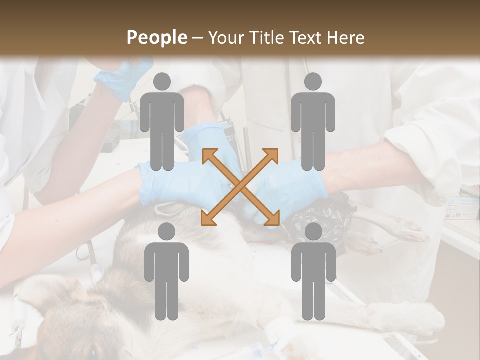 Veterinary Surgery Sterile PowerPoint Template