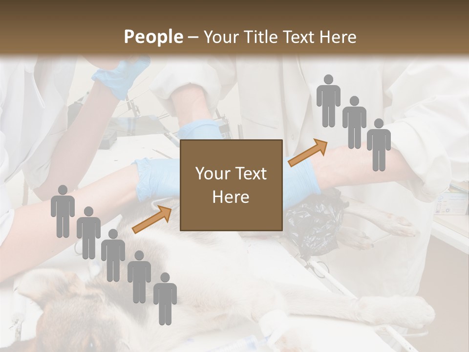 Veterinary Surgery Sterile PowerPoint Template