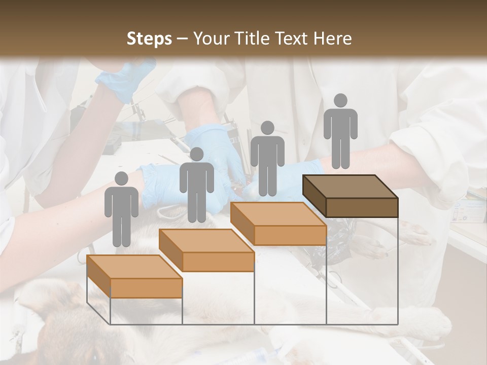 Veterinary Surgery Sterile PowerPoint Template