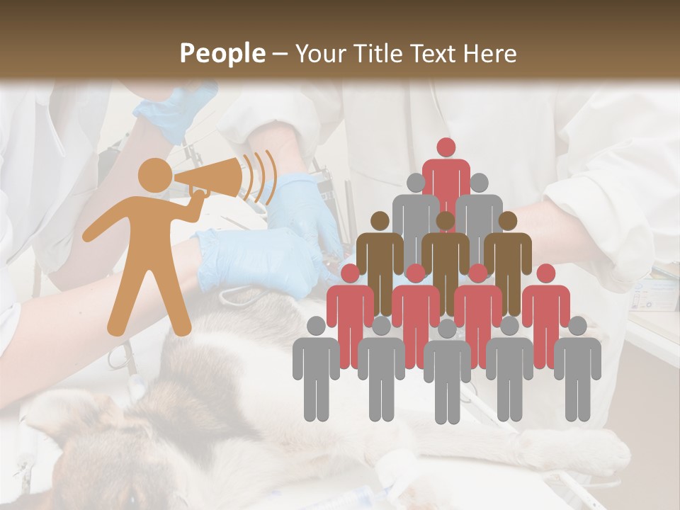 Veterinary Surgery Sterile PowerPoint Template