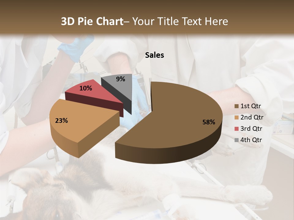 Veterinary Surgery Sterile PowerPoint Template