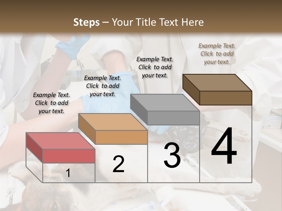 Veterinary Surgery Sterile PowerPoint Template