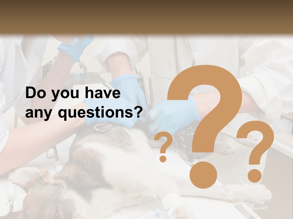 Veterinary Surgery Sterile PowerPoint Template