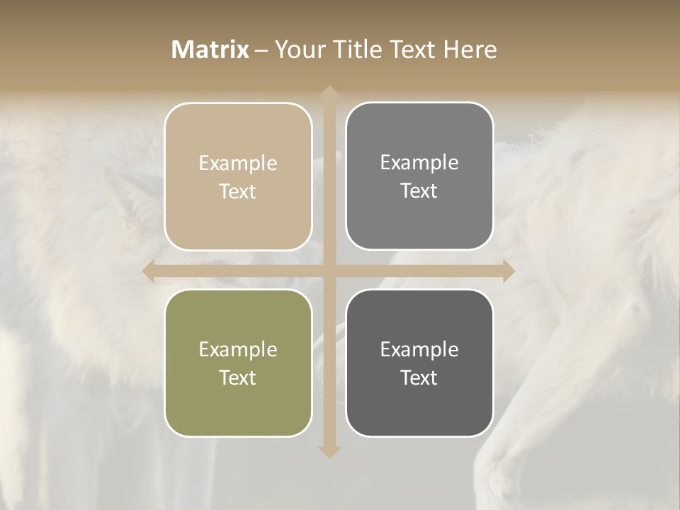 Boy Man Child PowerPoint Template