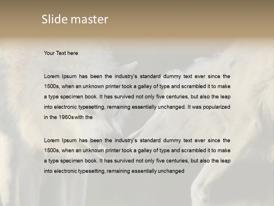 Boy Man Child PowerPoint Template