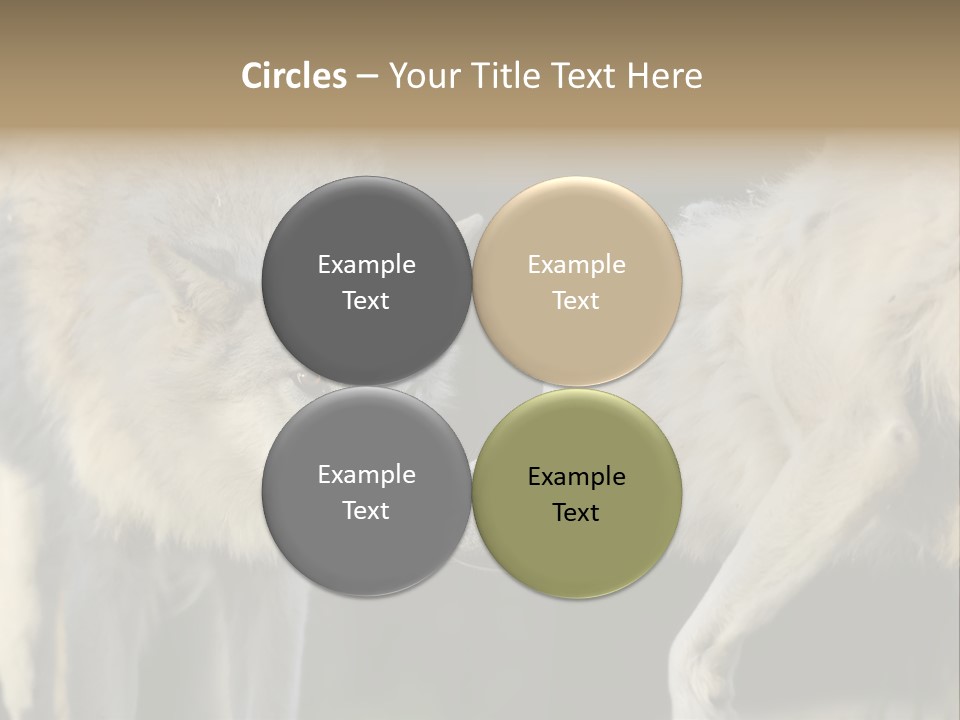 Boy Man Child PowerPoint Template