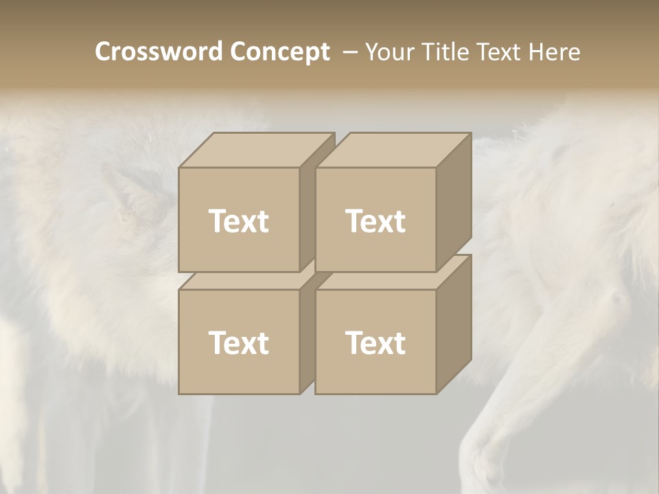 Boy Man Child PowerPoint Template