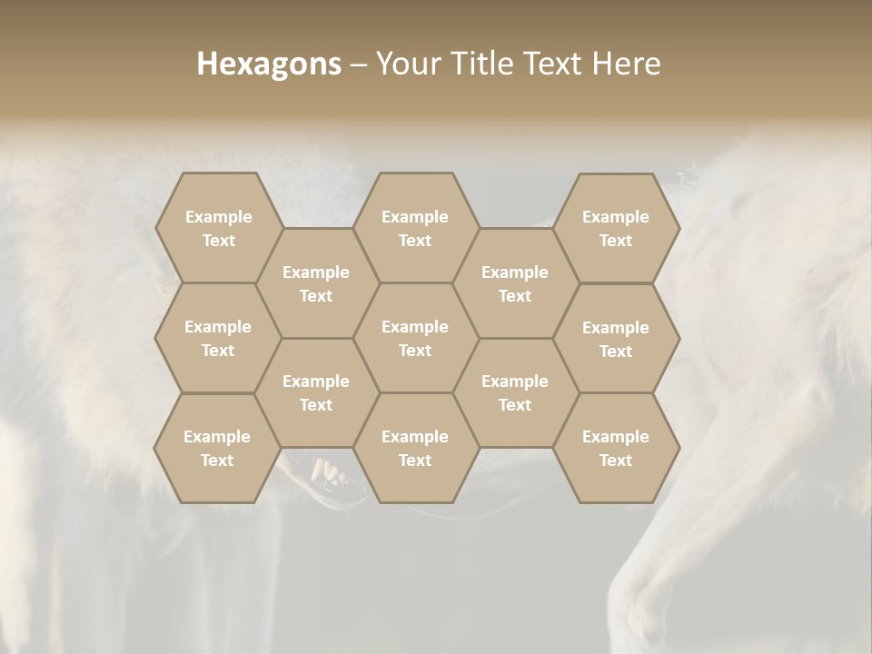 Boy Man Child PowerPoint Template