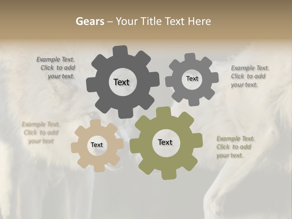 Boy Man Child PowerPoint Template